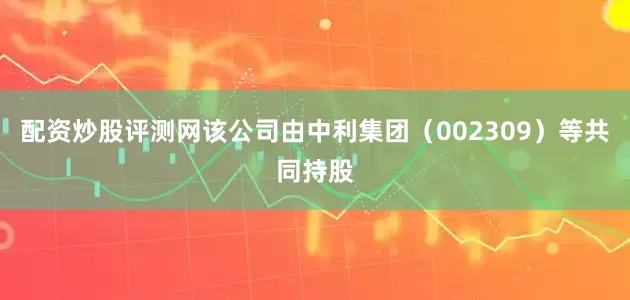 配资炒股评测网该公司由中利集团（002309）等共同持股