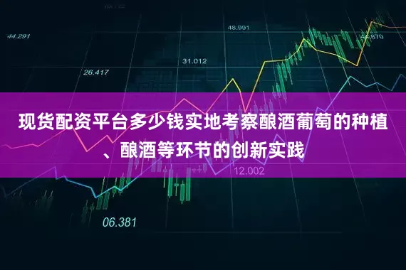 现货配资平台多少钱实地考察酿酒葡萄的种植、酿酒等环节的创新实践