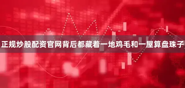 正规炒股配资官网背后都藏着一地鸡毛和一屋算盘珠子